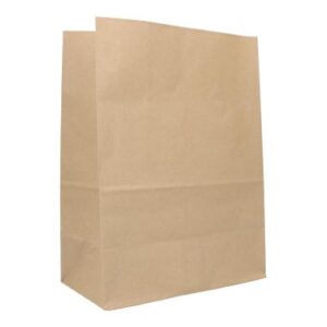 Kraftpapier-Take-Away-Bag 220 mm x 120 mm x 300 mm braun