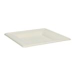 Bagasse-Teller 16 cm x 16 cm x 1,5 cm ungeteilt weiss PrimeSource BeGreen