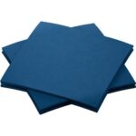 Serviette Bio Dunisoft 20 cm x 20 cm 1-lagig 1/4 Falz dunkelblau