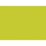 Tischset Papier  35 cm x 45 cm kiwi