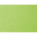 Tischset Papier 30 cm x 40 cm Kiwi